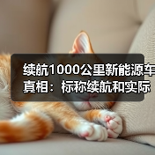 续航1000公里新能源车真相：标称续航和实际使用差距大，怎么选不踩坑？