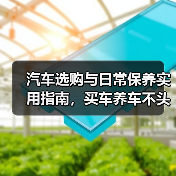 滚动新闻