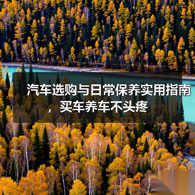 汽车选购与日常保养实用指南，买车养车不头疼