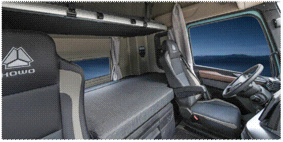 从容抢鲜 宽舱领航 豪沃TS 8×4载货车为绿通运输而生